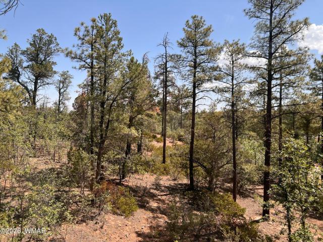 House for sale in Navajo, Arizona