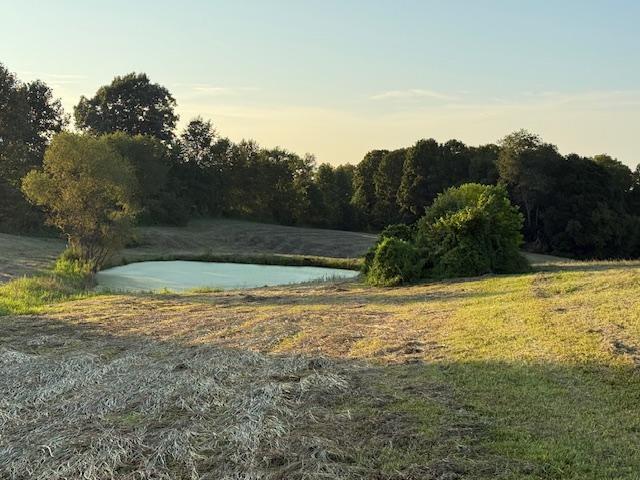 Farm for sale in Mount Olivet, Kentucky