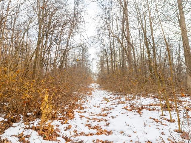 Land for sale in Rittman, Ohio