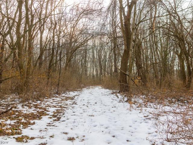 Land for sale in Rittman, Ohio