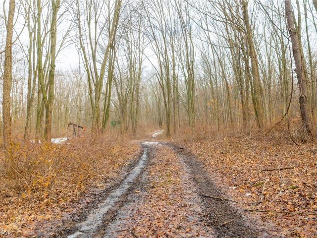 Land for sale in Rittman, Ohio