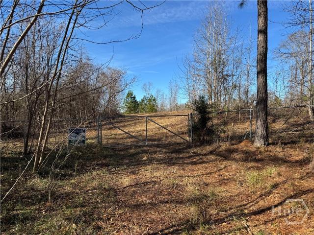 Land for sale in Elbert, Georgia