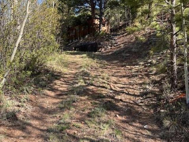 Land for sale in Bailey