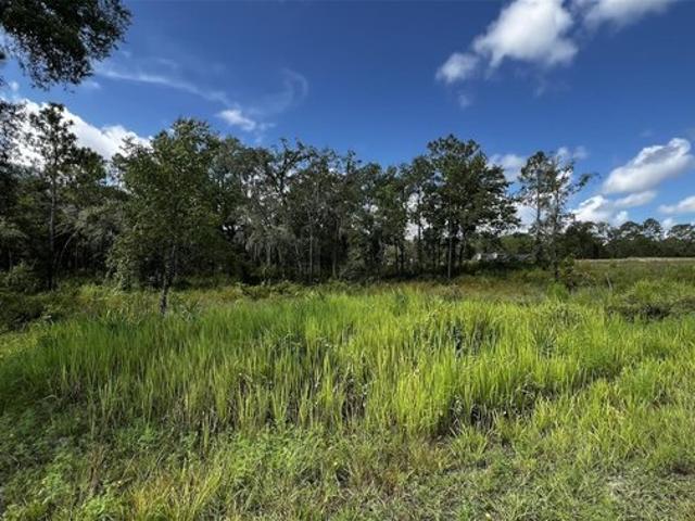 Land for sale in Webster, Florida