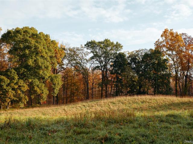 Land for sale in Tivoli, New York