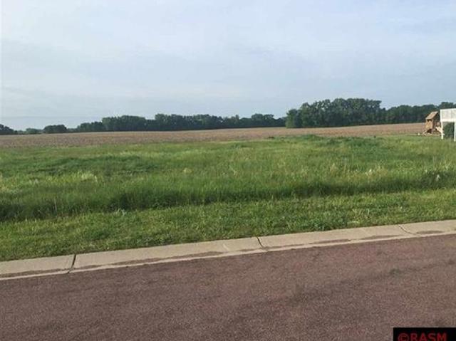 Land for sale in Madison Lake, Minnesota