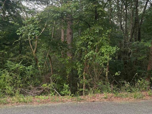 Land for sale in Etowah, Alabama