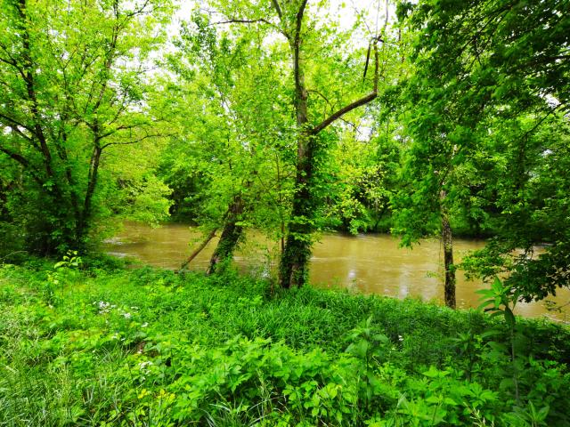House for sale in Jackson, Kentucky