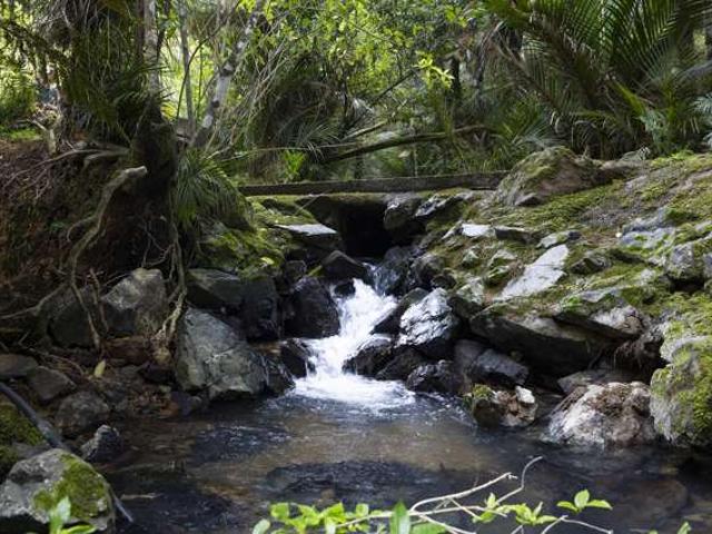 House for sale in Karetu, Northland