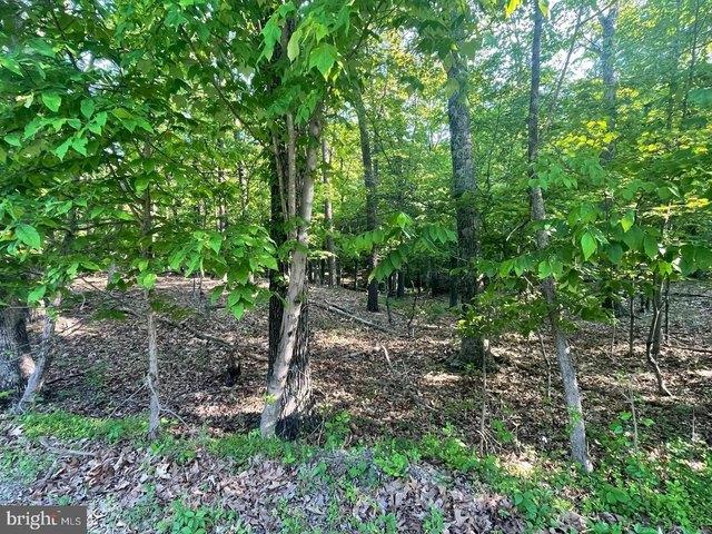 Land for sale in Berkeley Springs, West Virginia