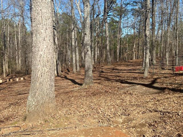 House for sale in Haralson, Georgia