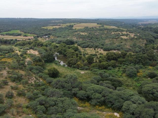 Rancho en venta en Villa Hidalgo, Jalisco