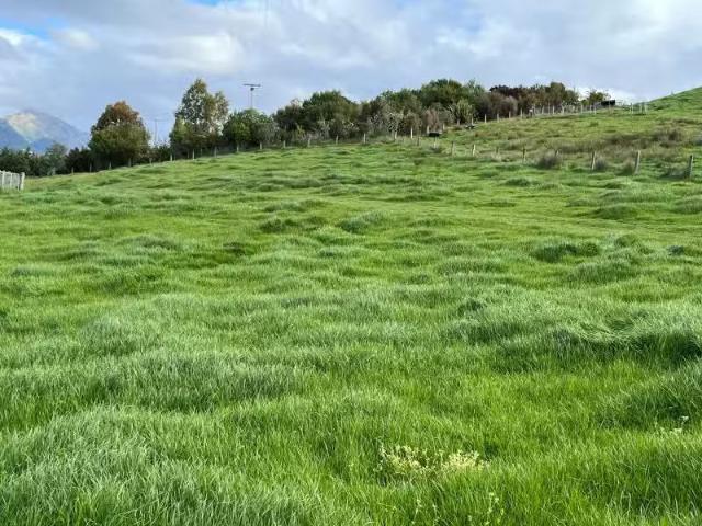 House for sale in Marlborough