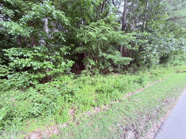 Land for sale in Hertford, North Carolina