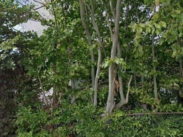 Lejlighed til salg i Vallensbæk Strand, Brøndby