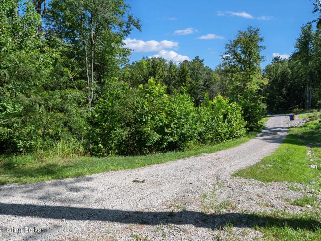 Land for sale in Leitchfield, Grayson County