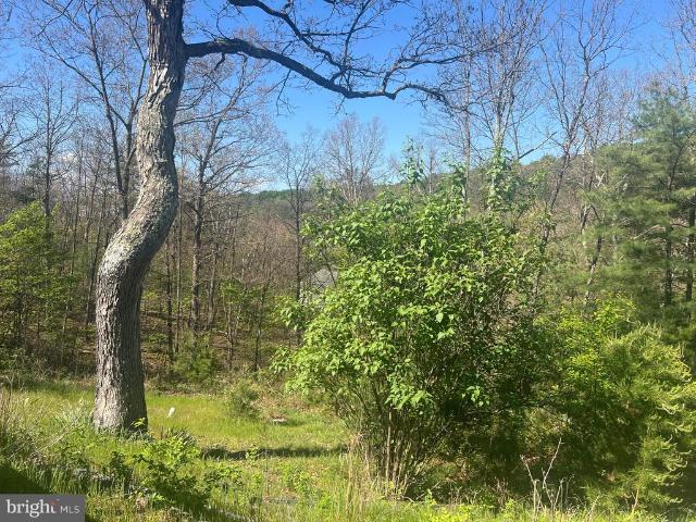 Land for sale in Berkeley Springs, West Virginia