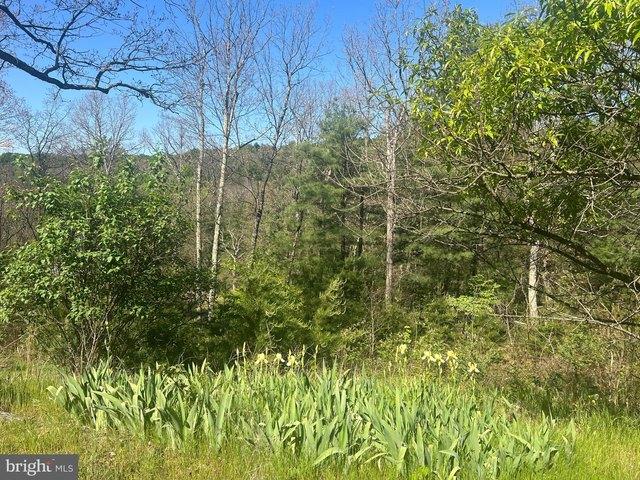 Land for sale in Berkeley Springs, West Virginia