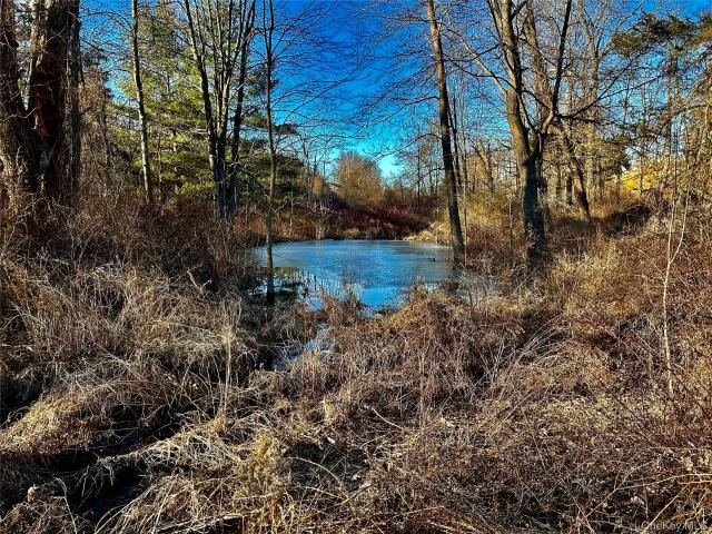 Land for sale in New York