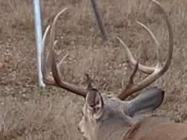 Land for sale in Limestone, Texas