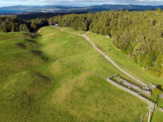 Property for sale in Bay Of Plenty