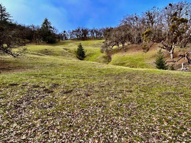 Land for sale in Garberville, California