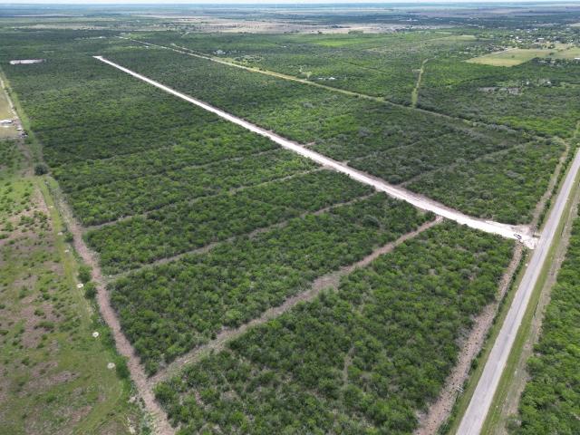 Land for sale in Bee, Texas