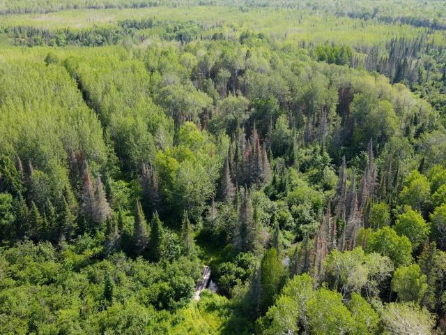 Land for sale in Town of Tripp, Bayfield County