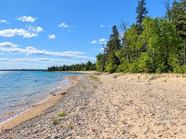 Land for sale in Alpena, Alpena County