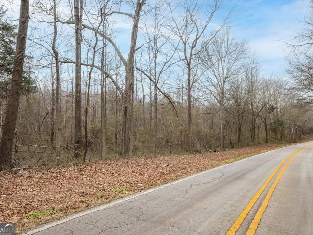 Land for sale in Eastanollee, Georgia