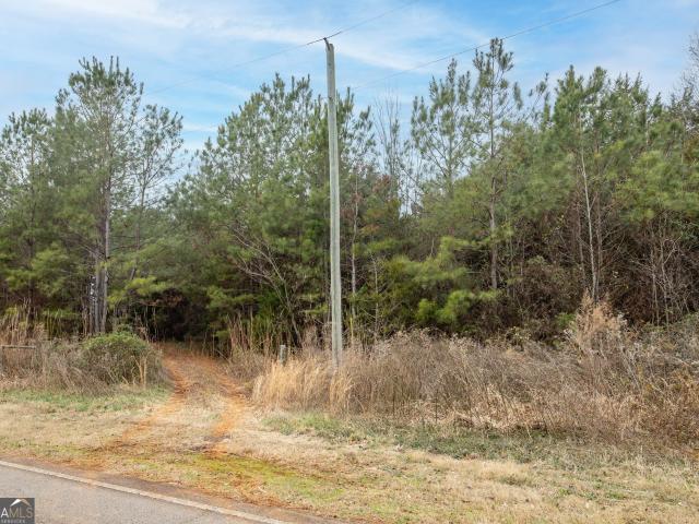 Land for sale in Eastanollee, Georgia