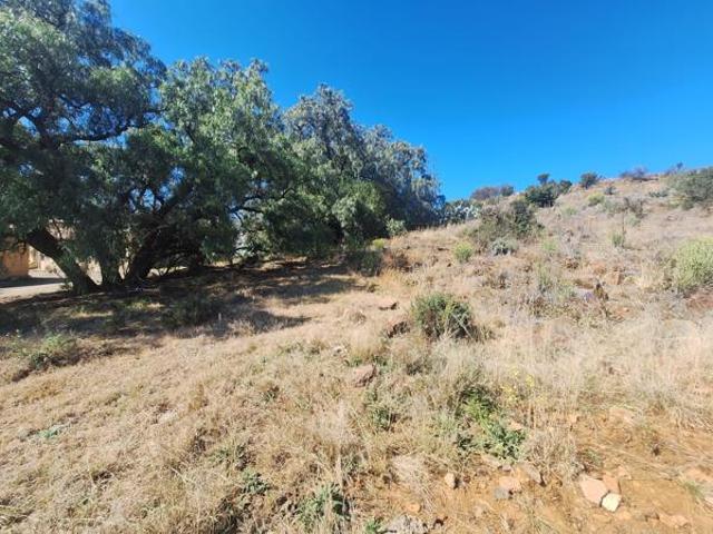 Land for sale in Xhariep District Municipality, Free State