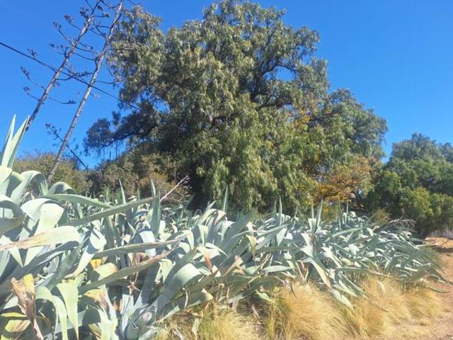 Land for sale in Xhariep District Municipality, Free State