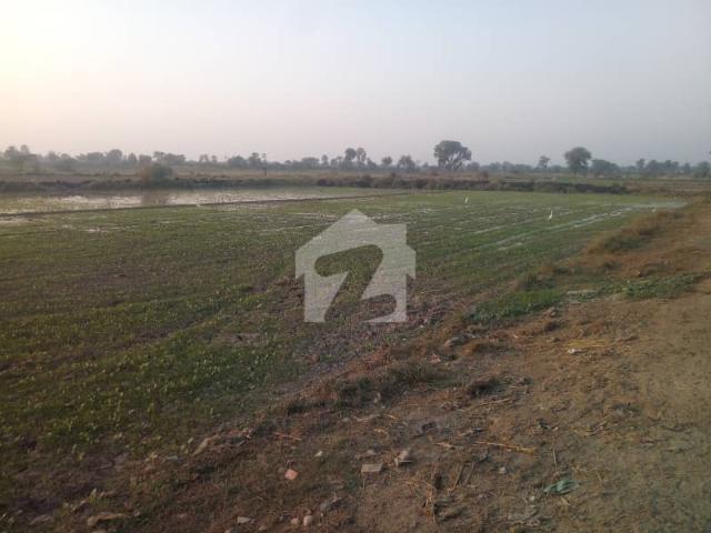 Property for sale in سرگودھا, سرگودھا ڈویژن