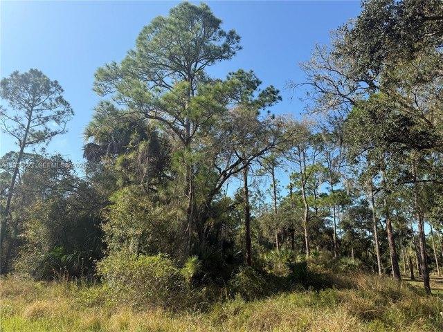 Land for sale in Clewiston, Florida