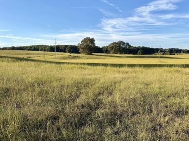 Farm for sale in Munford, Talladega County