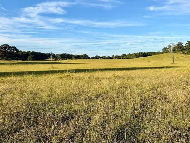 House for sale in Munford, Talladega County