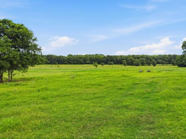 Farm for sale in Moulton, Texas
