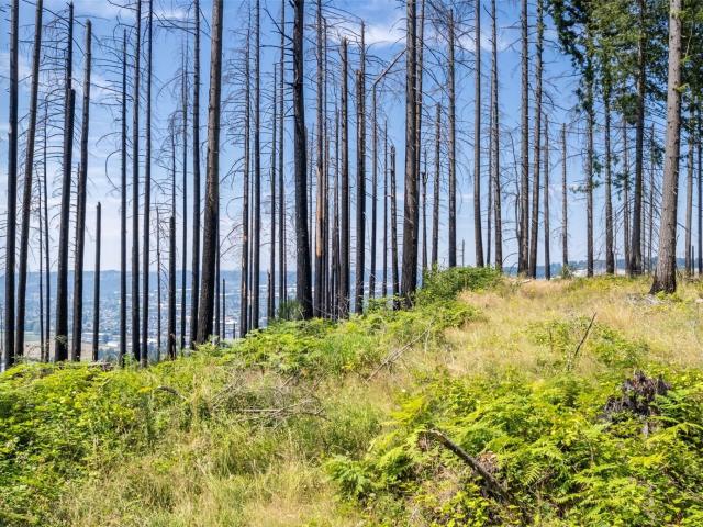 Land for sale in Bonney Lake, Washington