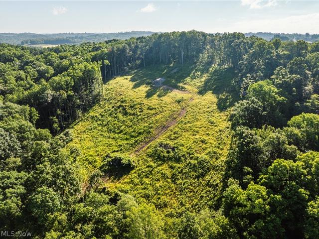 Land for sale in Millersburg, Ohio