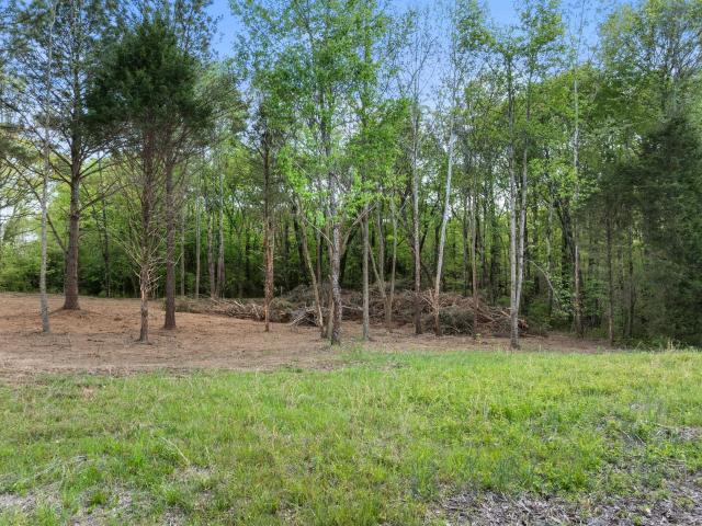 Land for sale in Lexington, Alabama