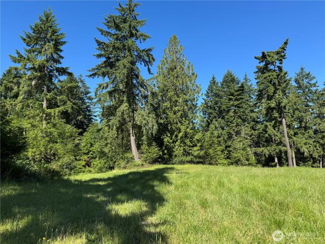 Land for sale in Olympia