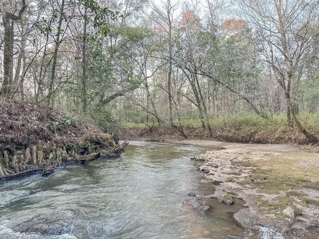 Land for sale in Geneva, Alabama