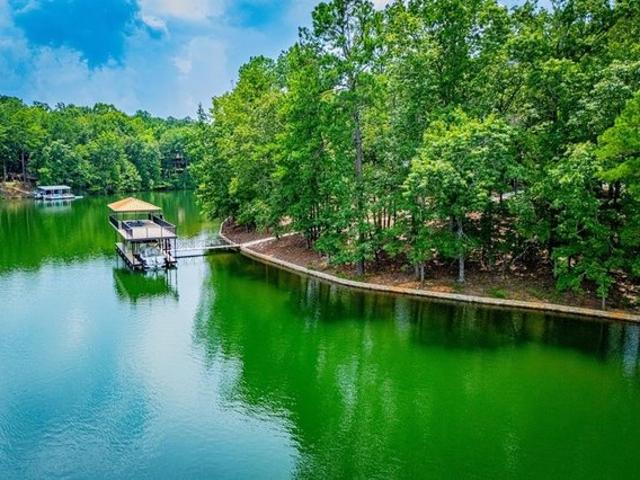 Land for sale in Lineville, Alabama