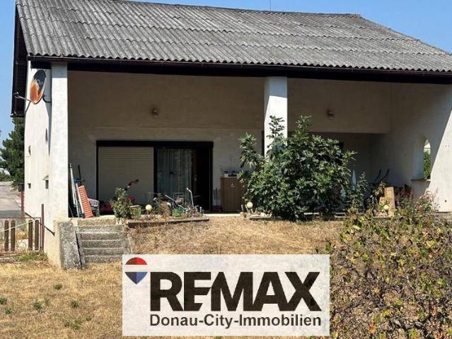 Haus kaufen in Kottingbrunn, Niederösterreich
