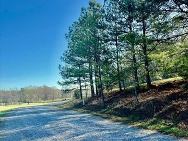 Land for sale in Ashville, Alabama