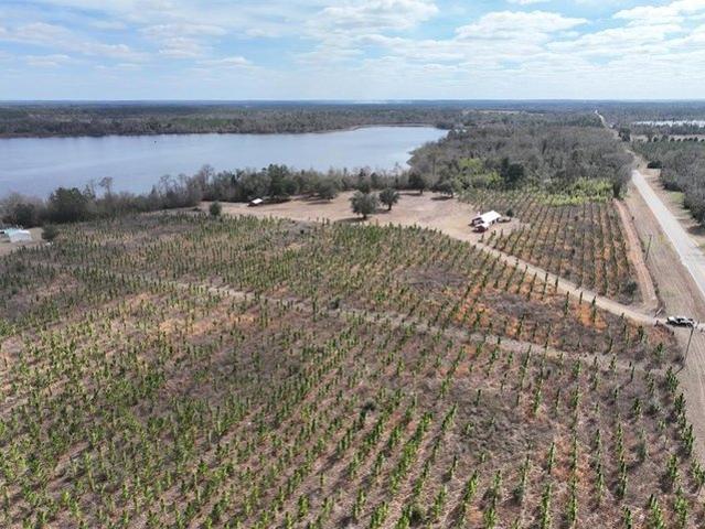 House for sale in Donalsonville, Georgia