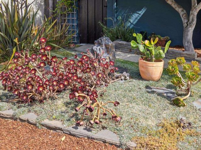 House for sale in El Cerrito, California