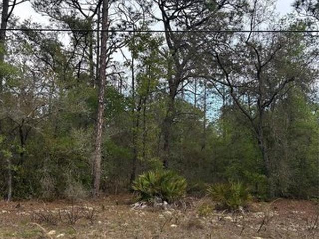 Land for sale in Dunnellon, Florida