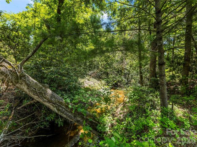 Land for sale in Black Mountain, North Carolina